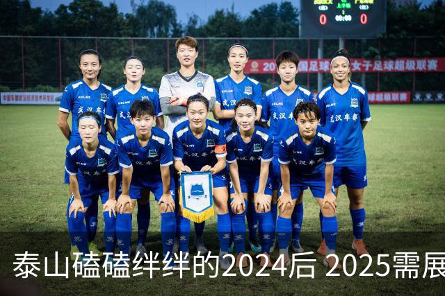 泰山磕磕绊绊的2024后 2025需展现清晰的发展方向